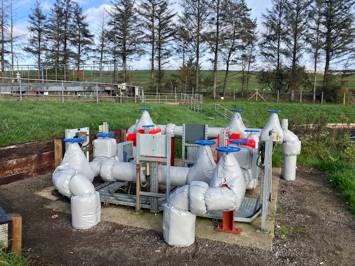 water plant