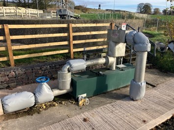 water plant